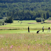 Alaska Golf Course - North Star Golf Club